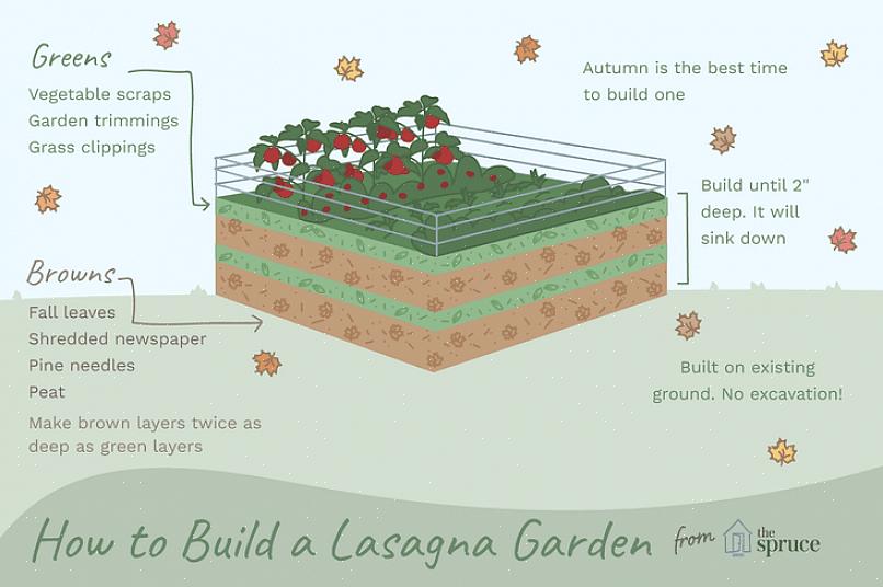 Επισκόπηση Η κηπουρική Lasagna είναι μια μέθοδος κηπουρικής χωρίς σκάψιμο