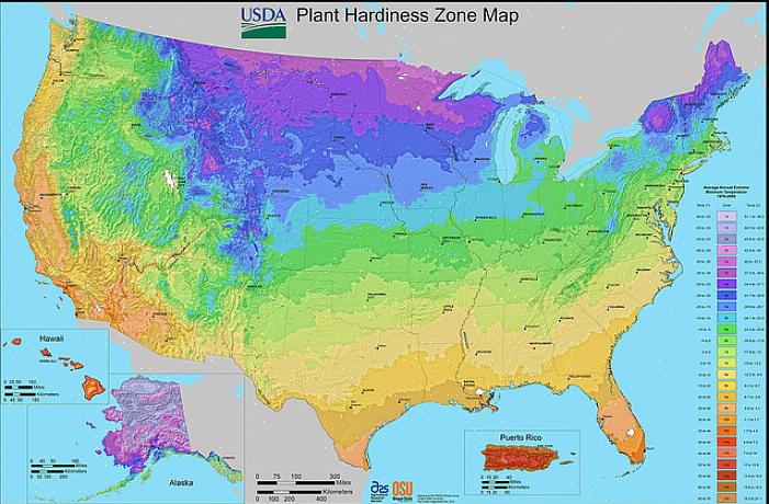 Η κλίμακα σκληρότητας των φυτών USDA είναι ένα χρήσιμο εργαλείο αναφοράς