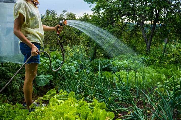 Γρήγορος ορισμός για το βαθύ πότισμα