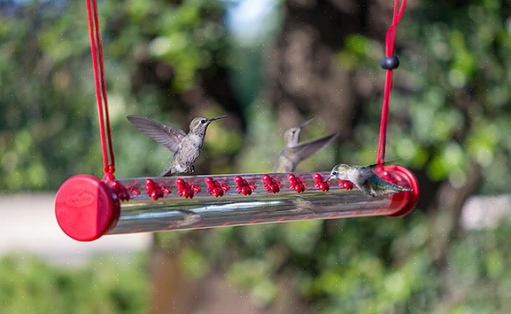 Το Birders μπορεί επίσης να προμηθεύσει κατάλληλα υλικά φωλιάσματος