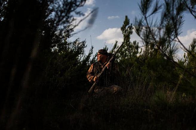 Η μετανάστευση είναι κρίσιμη στον κύκλο ζωής των πουλιών