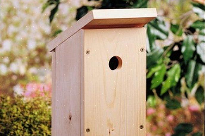 Βασικό birdhouse είναι πολύ πρακτικό σε μορφή