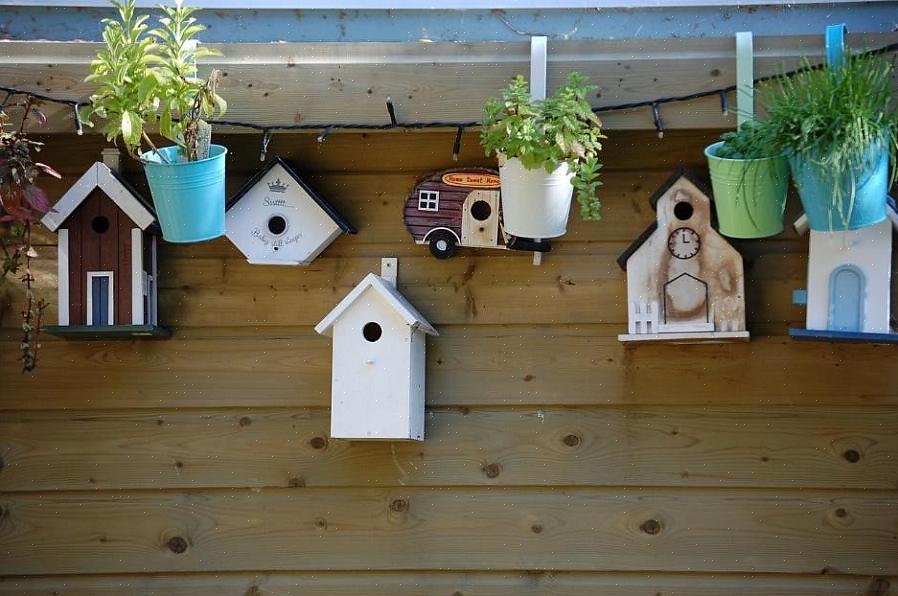 Τα σετ Birdhouse είναι μια εξαιρετική επιλογή για την κατασκευή ενός birdhouse εάν δεν έχετε πολλές